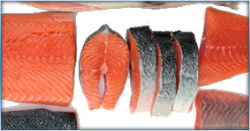 Atlantic Salmon